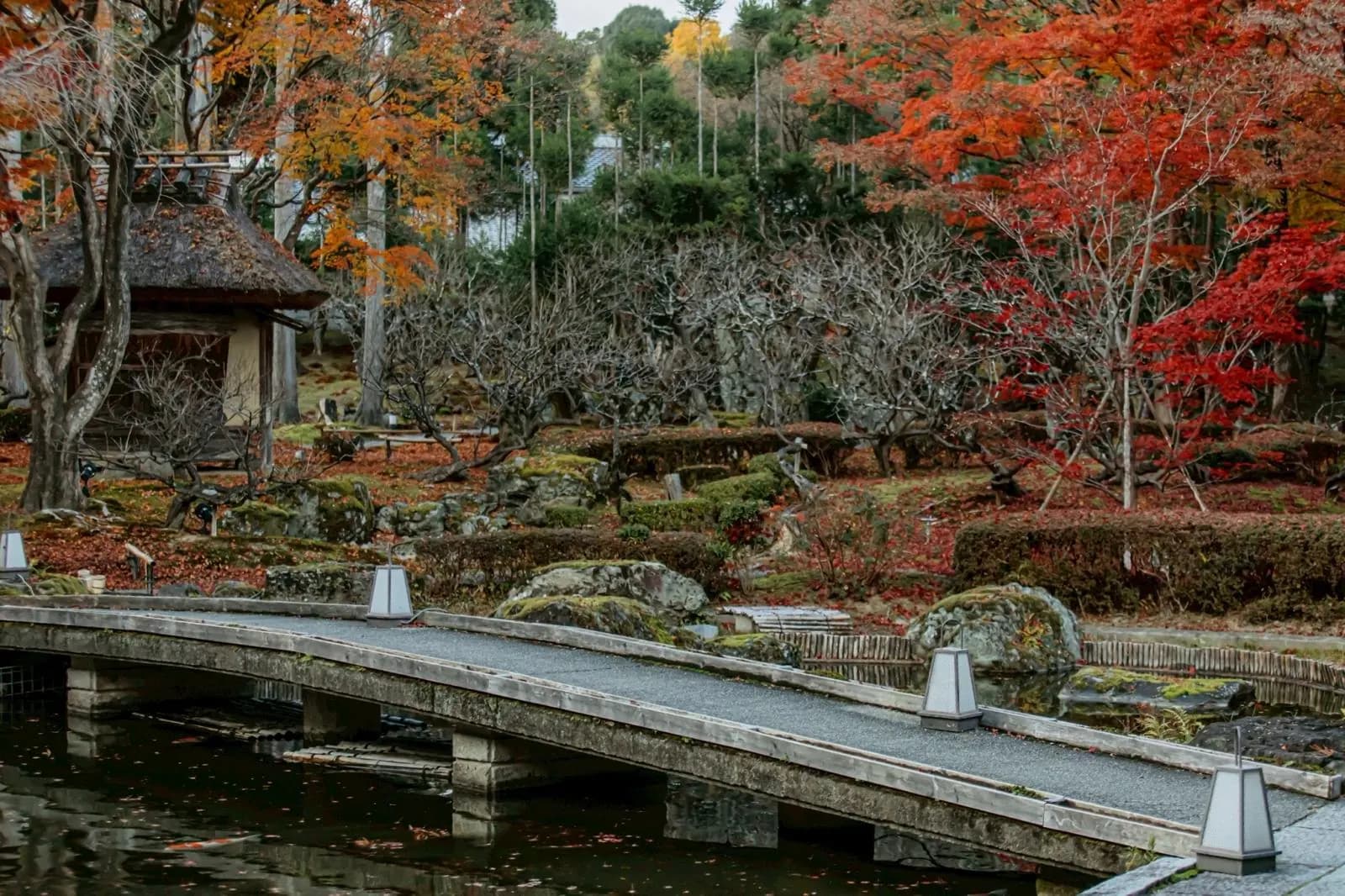 SHOZAN KYOTO 苔の庭