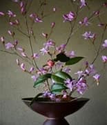 花器と花入れ